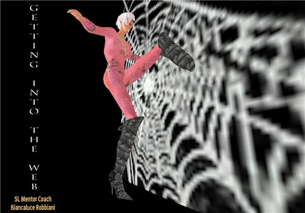 getting into the web