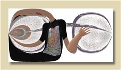 virtual glasses