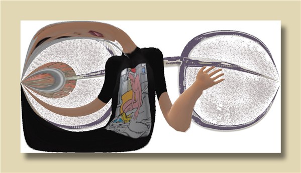 virtual glasses