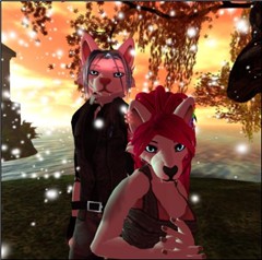 Wolves