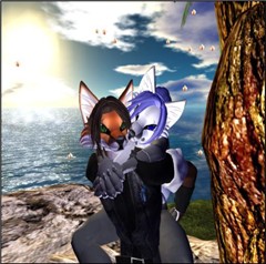 foxies