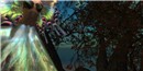 chouchou_004