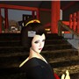 Geiko_Maiko
