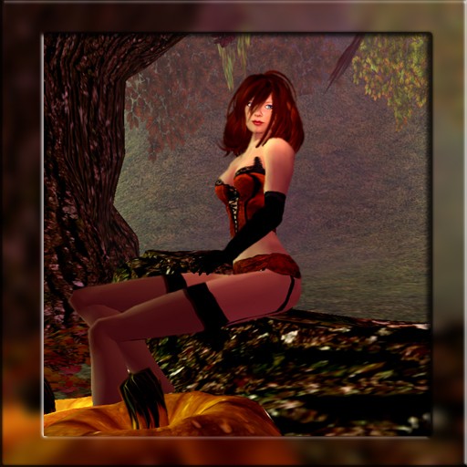 Blacklace Lingerie