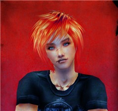Steave portrait