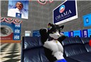 Election 2008 - Socks Clawtooth