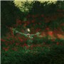 A Red Flower Garden