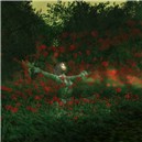 A Red Flower Garden