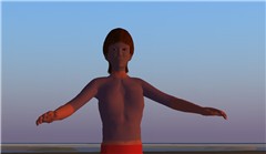 Avatars in OpenSim