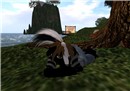 Resting Skunk - Draygone Llewellyn