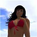 model searching