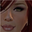 model searching