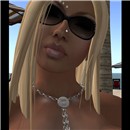 model searching