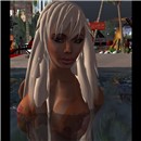 model searching