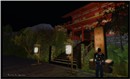GionNights