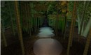 bamboo forest - Torley Olmstead