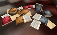 extremely detailed books @ LH - SLSCoJoff Thespian