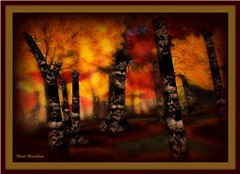 Magic Forest