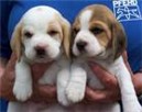 cuteee <33