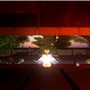 The fairy's stroll_zazen