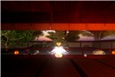 The fairy's stroll_zazen