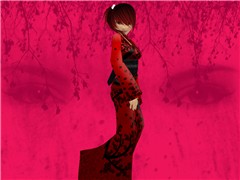 The Japanese Style