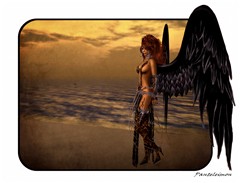 Fallen Angel