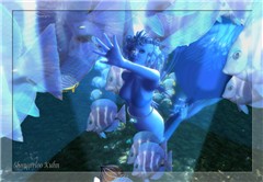 Marine Life