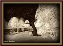 Winter Landscape