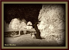 Winter Landscape