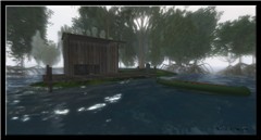 Bayou_Beagle