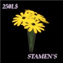 Bunch Black Eyed Susan with Vase
