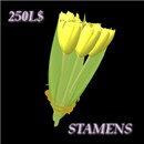 Bunch of Yellow Tulips