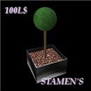 Standard Topiary