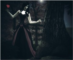 Dancing in the Night