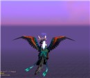 flight