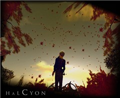 leaves falling