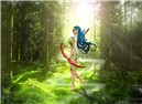 Magic Forest