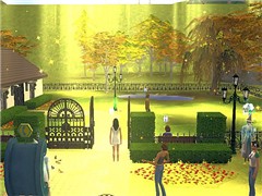 Yellow morning