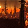 Burning forest