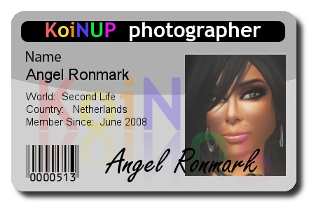 Angel Ronmark_KoiNUPID