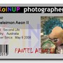 PANTELEIMON AEON_KoiNUPID