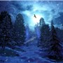 Winter Wonderland