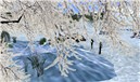 Snapshot_121