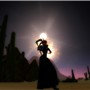 Casting in the Desert Moonlight