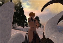 Snow flakes