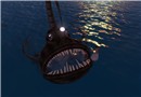 Taming a fish