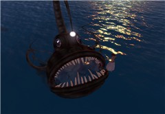 Taming a fish