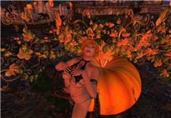 The pumpkin