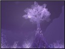 Crystalsong Forest 5